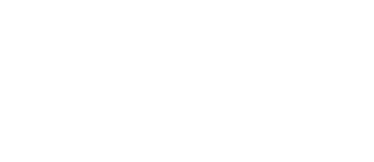 ITS — Intelligent Technology Solutions